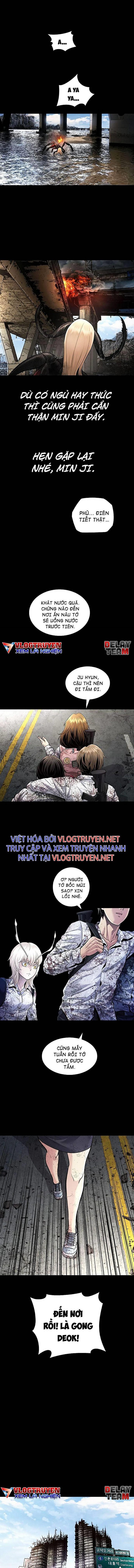 Đọc truyện Hive - Thảm họa ong độc - Chap 286